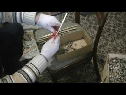 Видео: ОСМИИ, извлекаю коконы.