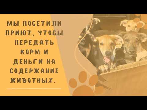 Видео: Акция "Помощь животным вместо цветов" на День знаний в ПОУ ТЛ им. Д. Кантемира г. Кишинёва.