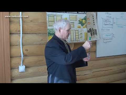 Видео: Кашковский_  Про Улей Рута
