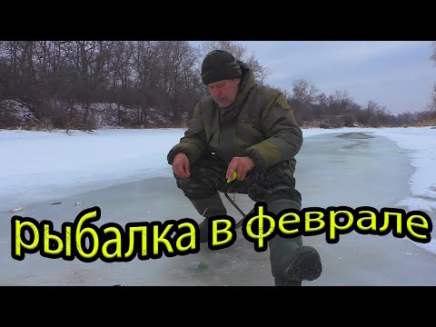 Видео: Певая рыбалка в феврале 2023 года.