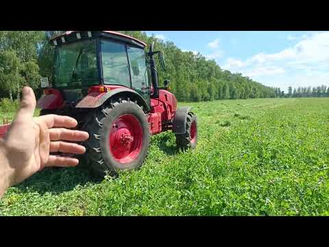 Видео: Начинаем косить горох