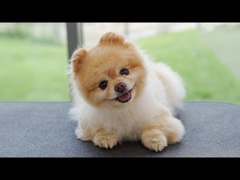 Видео: Ты не можешь оторвать от меня глаз.