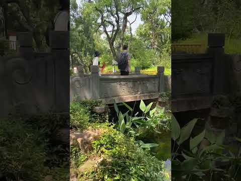 Видео: Почти бесплатный парк Шанхая