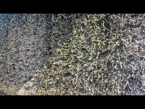 Видео: Осінь – час релаксу та відновлення. Градирня сольова.