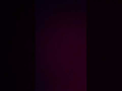 Видео: 15 августа 2025 г.