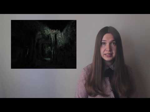 Видео: Первобытное искусство. Живопись и скульптура палеолита