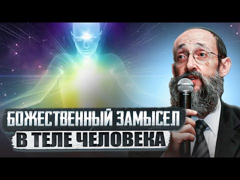 Видео: Божественный замысел в теле человека. Рав Ашер Кушнир