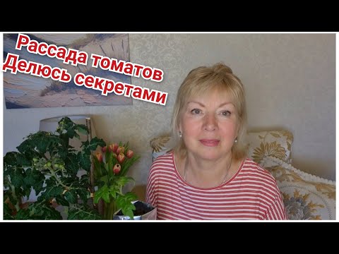 Видео: СЕКРЕТЫ МОЩНОЙ РАССАДЫ ТОМАТОВ. Перевалка. Готовлю ПИТАТЕЛЬНЫЙ грунт