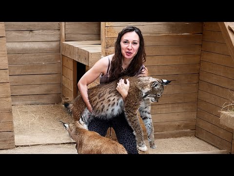 Видео: РЫСЁНКА ПАРАЛИЗОВАЛО ОТ ГЛИСТОГОНКИ