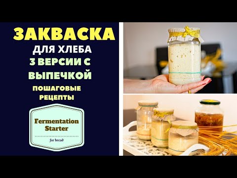 Видео: ЗАКВАСКА ДЛЯ ХЛЕБА.ПОШАГОВЫЙ РЕЦЕПТ3 ВЕРСИИ С ВЫПЕЧКОЙ Fermentation starter for bread ცომის საფუარი