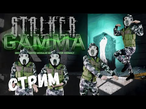 Видео: Играем в #STALKER Anomaly GAMMA. Идём на ЧАЭС со Стрелком