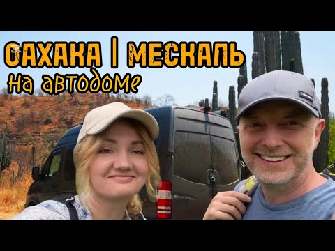 Видео: МЕСКАЛЬ | ОАХАКА | МЕКСИКА 🌐 Выпуск 41.