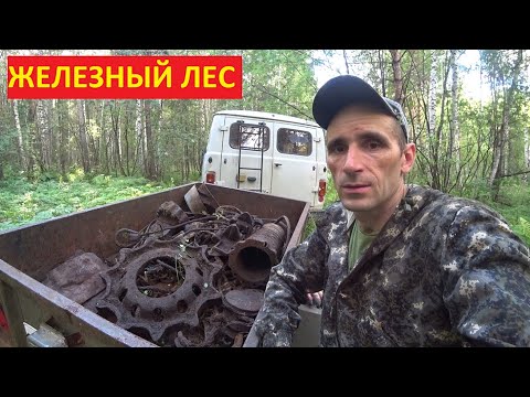 Видео: РАСПАКОВКА,ОБЗОР И ПОИСК МЕТАЛЛА В ЛЕСУ НОВЫМ МЕТАЛЛОИСКАТЕЛЕМ KAIWEETS KGM01! НАХОДКИ ПОРАДОВАЛИ!