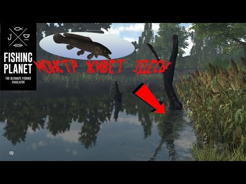 Видео: Fishing Planet. Рыбы - Монстры. Ильный Дендрофин