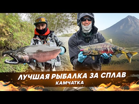 Видео: Лучшая рыбалка за сплав. Река Опала. Камчатка. #OnlySpin