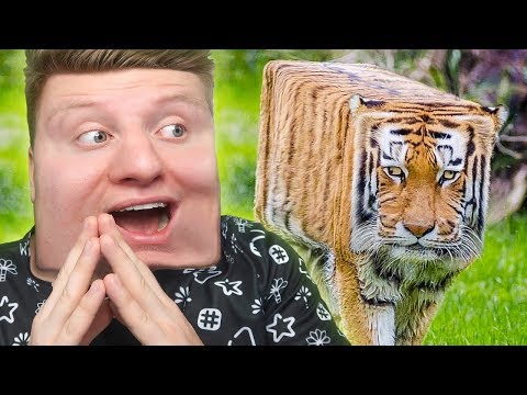 Видео: МЕМЫ ИЗ МАЙНКРАФТА В РЕАЛЬНОЙ ЖИЗНИ