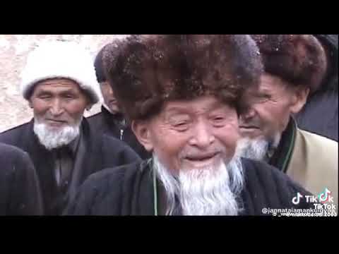 Видео: 8 января 2025 г.