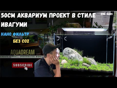 Видео: 50 CM ИВАГУМИ СТИЛЬ АКВАРИУМ | 50 CM IWAGUMI STYLE AQUARIUM