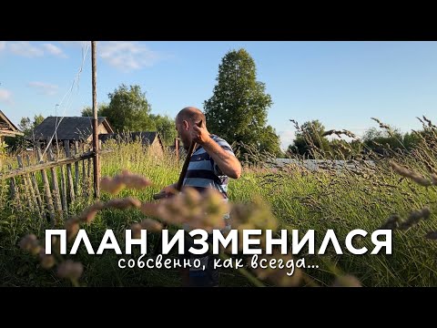 Видео: Такие дела: сажаем деревья, косим траву, новые покупошки для дома и плюшеперапия