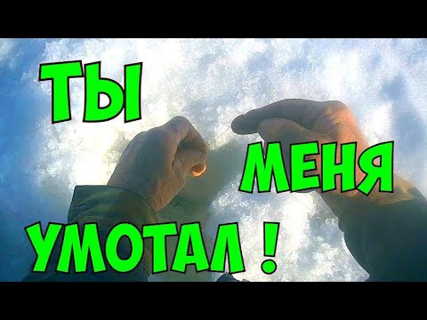 Видео: Карп зимой - это не ершей душить !