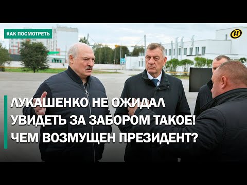 Видео: Лукашенко не сдержал эмоций: Не будет дисциплины – у тебя ничего не будет! / Визит в Шкловский район