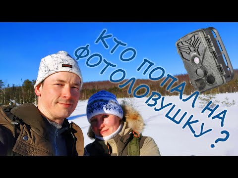 Видео: День 37. Путь к Теремку по снегу весной. Фотоловушка засняла хитрое животное. Препятствия и стройка.