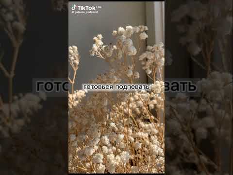 Видео: просто пой 2024г.❤❤