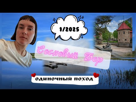 Видео: Сосновый Бор. Одиночный поход от станции 75 км до ст. Калище.