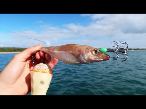 Видео: Метод поплавка. Большой кальмар не может устоять!