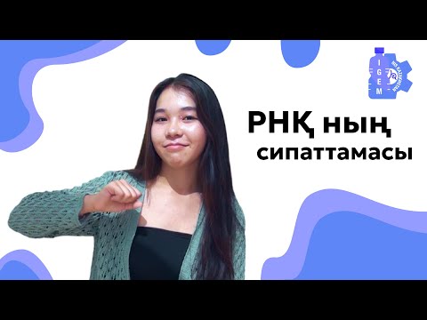 Видео: РНҚ түрлері, функциялары мен айрықша сипаттама