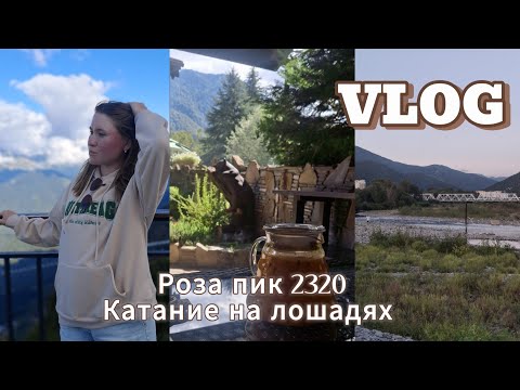 Видео: VLOG SOCHI 2025 | отдых с мамой и сестрой | Роза пик 2320 м | катание на лошадях 