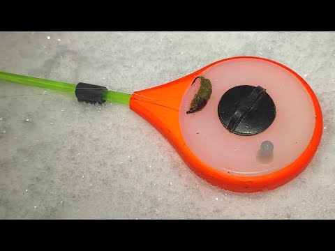 Видео: МОРМЫШ-Безмотыл на СТОЯК...Я в ШОКЕ!!! Рыбалка на карася зимой