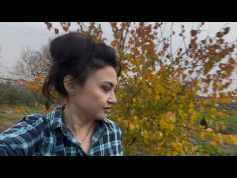 Видео: ✨ДОМАШНИЕ ДЕЛА ВПЕРЕМЕШКУ С РАБОТОЙ✨