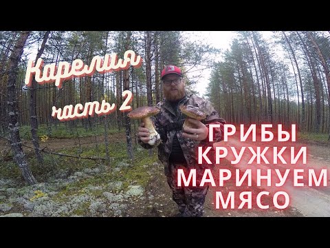Видео: Карелия, Сямозеро часть 2 грибы, кружки