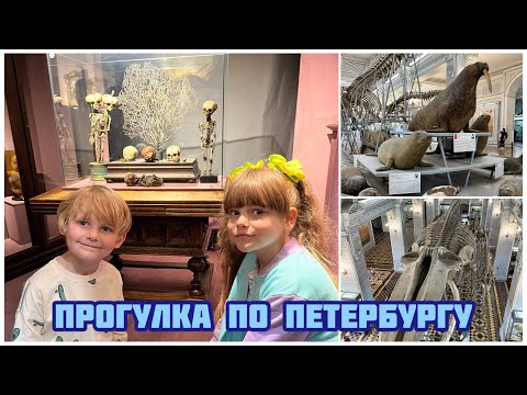 Видео: Влог#путешествие💕#Кунсткамера, #Зоологический музей, #Исаакиевский собор