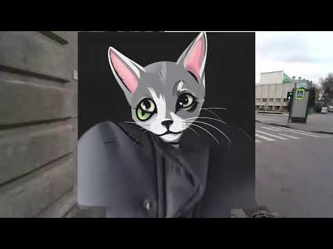 Видео: Твой друг идентифицирует себя КОТОМ?