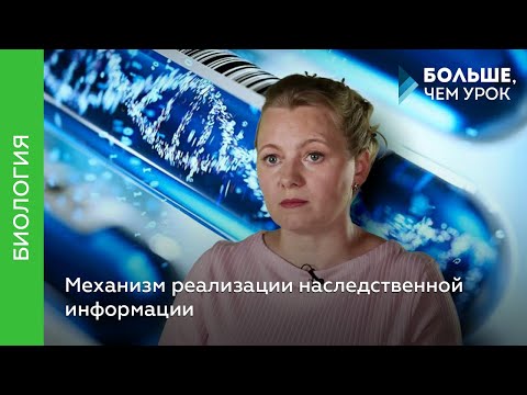 Видео: Механизм реализации наследственной информации