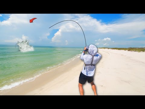 Видео: Рыбачил на пляже, когда случилось что-то ДИКАЯ! *Большой улов*