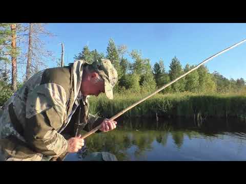 Видео: Рыбалка на лесном озере! Витя ловит и коптит. а мы едим!