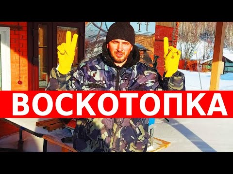 Видео: инвестиции в пчеловодство/ воскотопка паровая