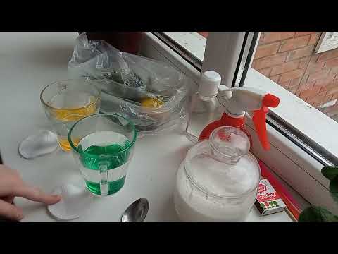 Видео: •\🍃Как обустроить терариум🎍\•🐞Как ухаживать за божьей коровкой🐞И многое другое✨