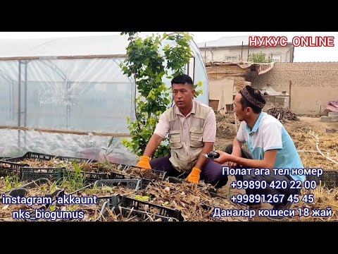 Видео: Биогумус бизнеси хакында