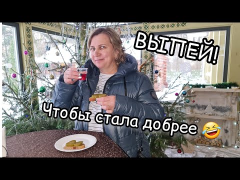 Видео: Пью САМОГОН🤪МИНСК 🚘 МОСКВА.. БРЕСТ