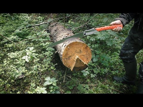 Видео: Silky Bigboy против 28-см бревна / Silky Bigboy vs 11" log.