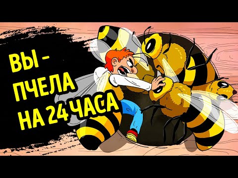 Видео: Что, если бы вы стали пчелой на 24 часа