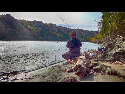 Видео: ЗАКИНУЛ ЗАКИДУШКИ И НАЧАЛОСЬ! МНОГО РЫБЫ В ЭТОЙ ЯМЕ!