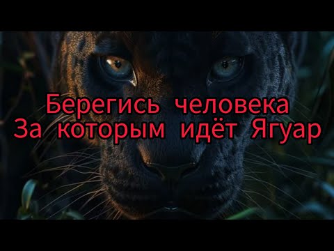 Видео: 💥ВОСХОД ЯГУАРА🐆БУСТЕР💯⭐️🔥осторожно⚠️очень МОЩНО🏆