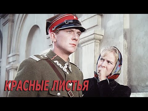 Видео: Красные листья