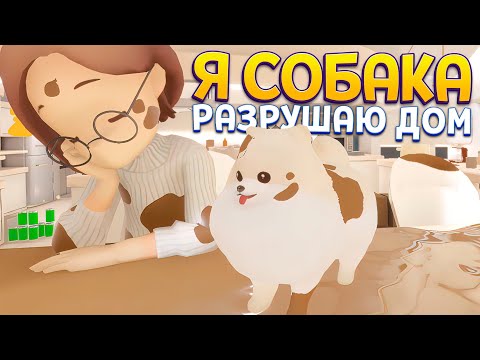 Видео: Я СОБАКА
