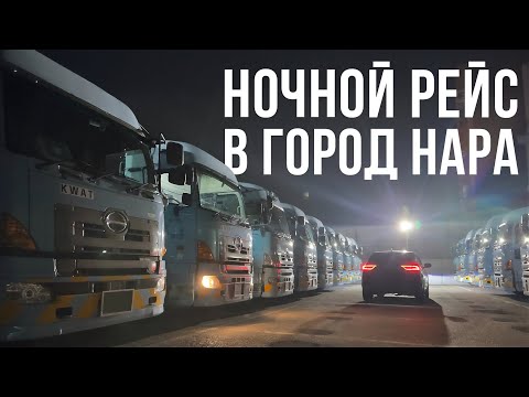 Видео: Красивая дальнобойщица и очередь на весь остров | Водитель в Японии